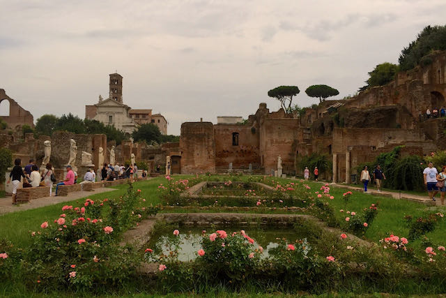 The Roman Forum in Rome roses in the roman forum