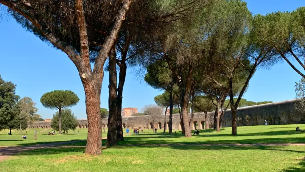 aqueduct park felice tree