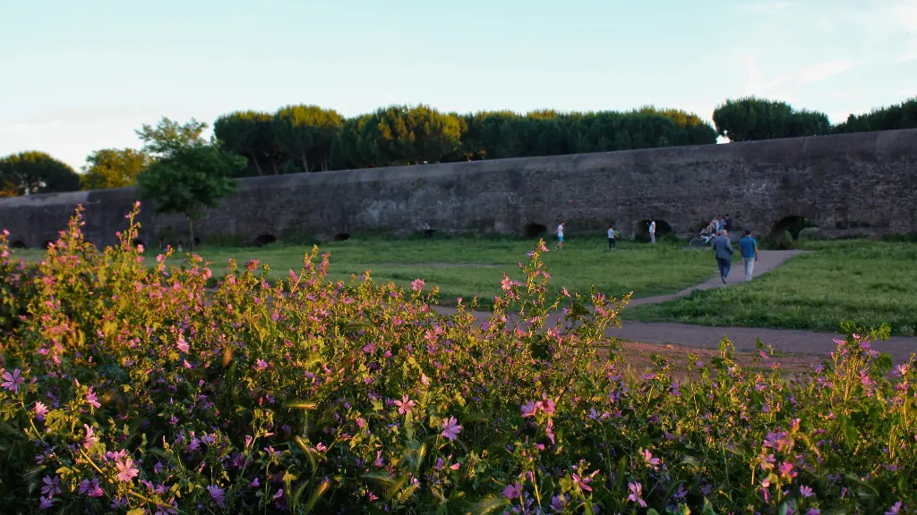 aqueduct park flowers sunset aqueduct park flowers sunset