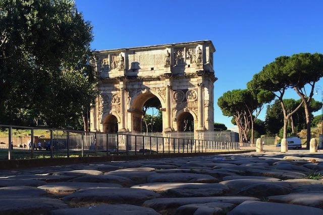 colosseum with caper flowers in rome in summer