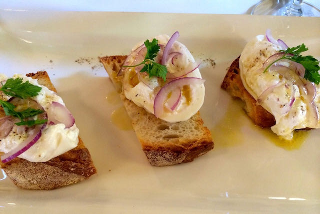 bruschetta with burrata and tropea onions at baccano bruschetta with burrata and tropea onions at baccano