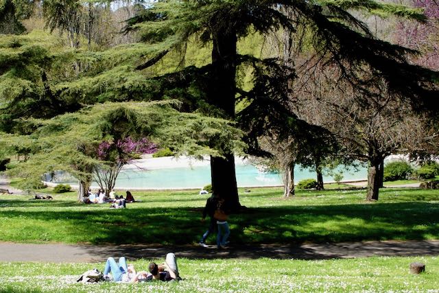 borghese park shade borghese park shade
