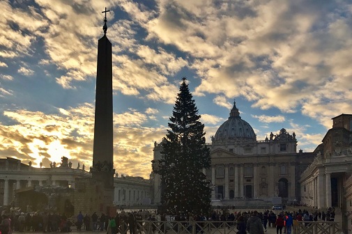 christmas tree st peters square vatican christmas tree st peters square vatican