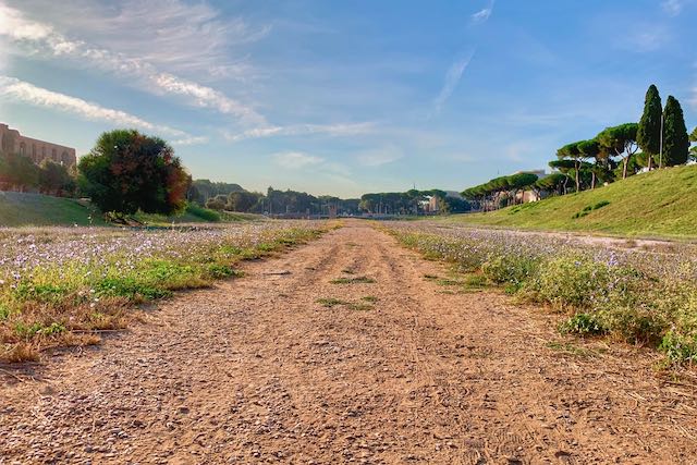 circus maximus in spring