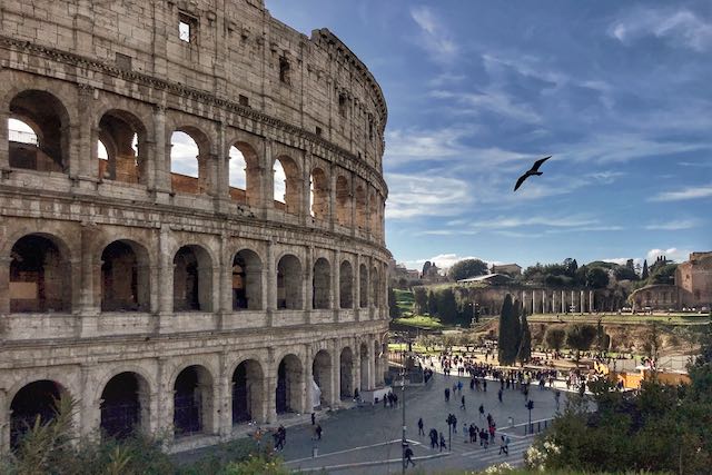View of the Colosseum from via Nicola Salvi and via degli Annibali. Colosseum with seagull