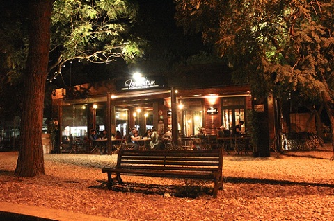 fermentum pizzeria outside dining