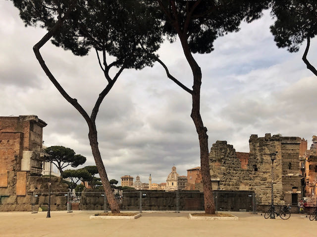 A cloudy sky over Roman ruins behind two umbrella pines. Cloudy skies and Roman ruins