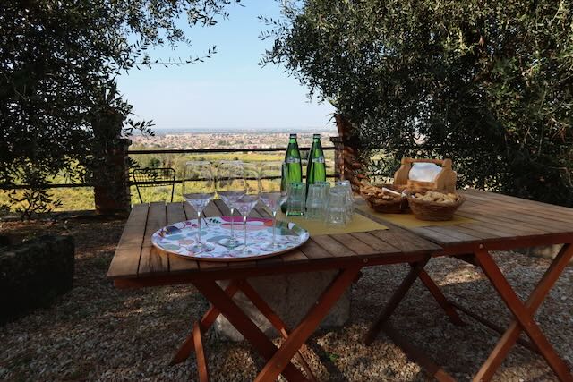 frascati wine tasting