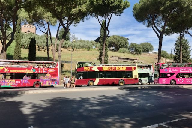 city sightseeing buses parked in a row