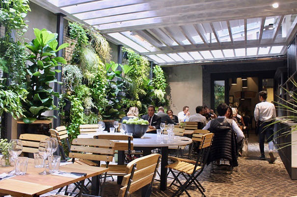 hosteria del mercato in its plant-filled interior hosteria del mercato in its plant-filled interior