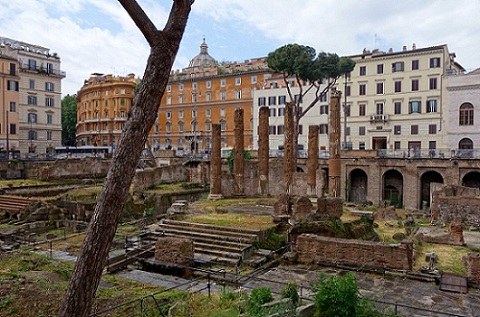 Pompey's theater largo argentina Pompey's theater largo argentina