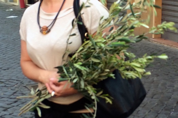 olive branches on Palm Sunday - Easter celebrations in Rome