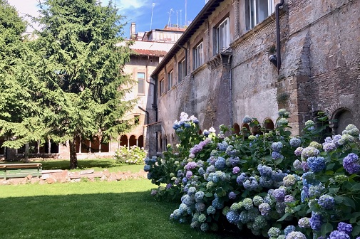 pin secret garden in ospedale nuovo regina margherita cloister trastevere hydrangea pin secret garden in ospedale nuovo regina margherita cloister trastevere hydrangea