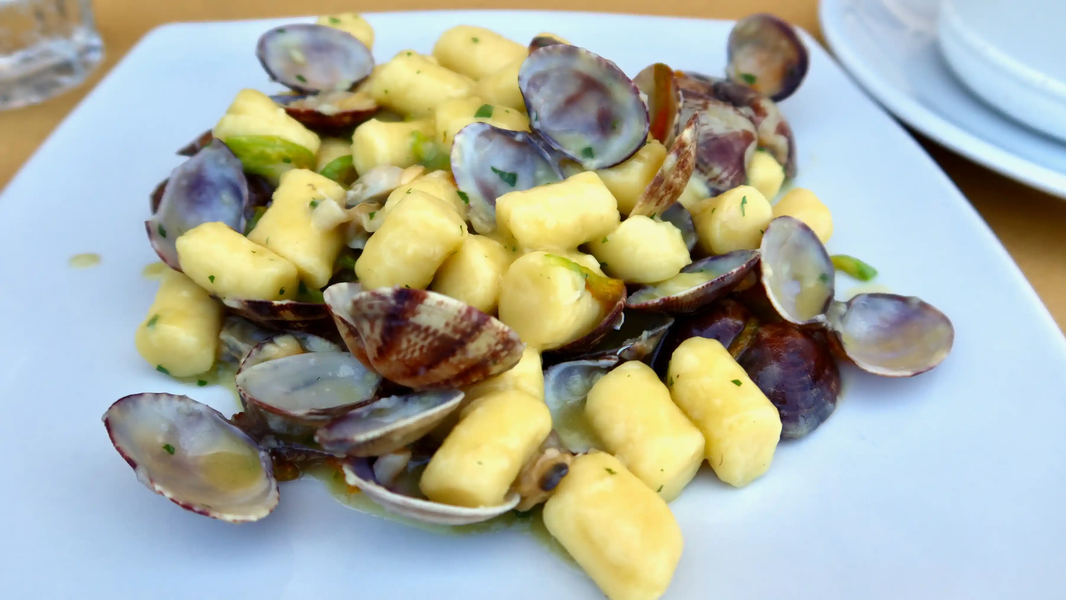 gnocchi with clams osteria bonelli - gnocchi with clams and zucchini flowers