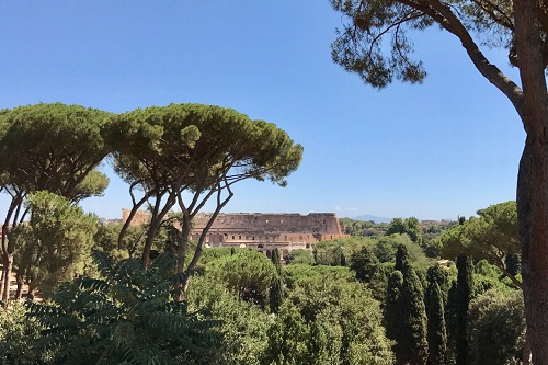 view of colosseum from palatine hill