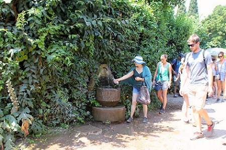 palatine hill nasone water palatine hill nasone water