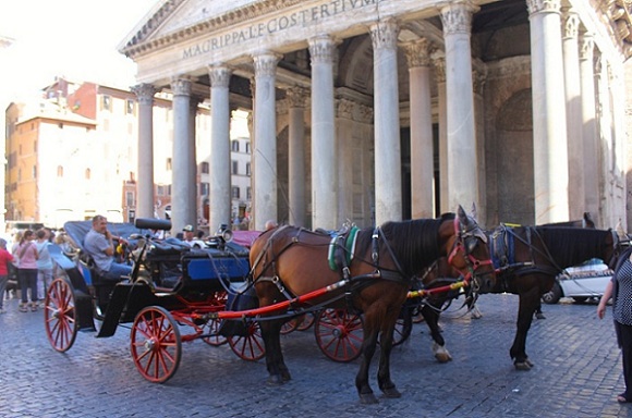 horse and buggies outside the pantheon in rome