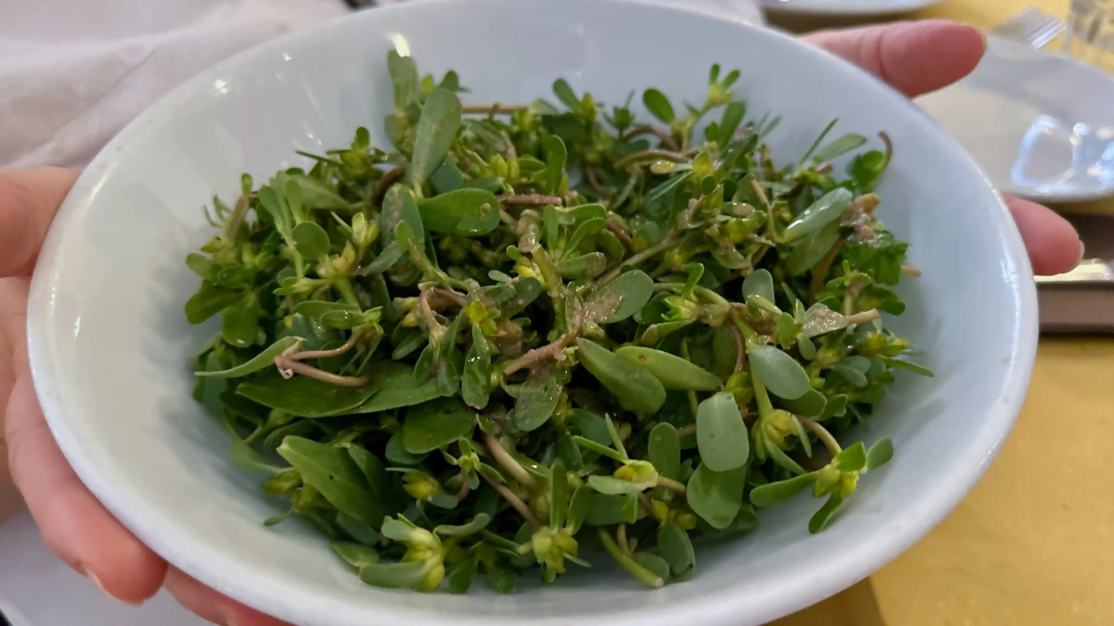 Portaluca (purslane) salad at Piatto Romano piatto romano - wild green salad one