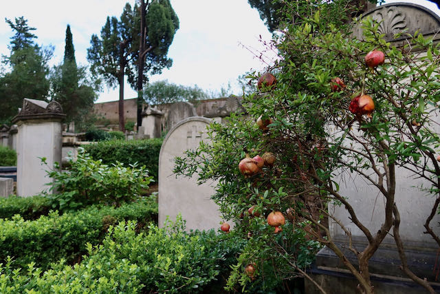 Cemeteries in Rome protestant cemetery pomegranates Cemeteries in Rome protestant cemetery pomegranates