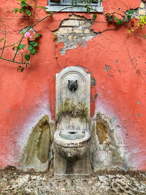 Fountain in rose garden
