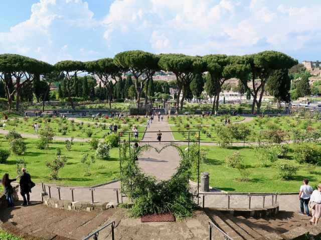 full view of the rose garden 