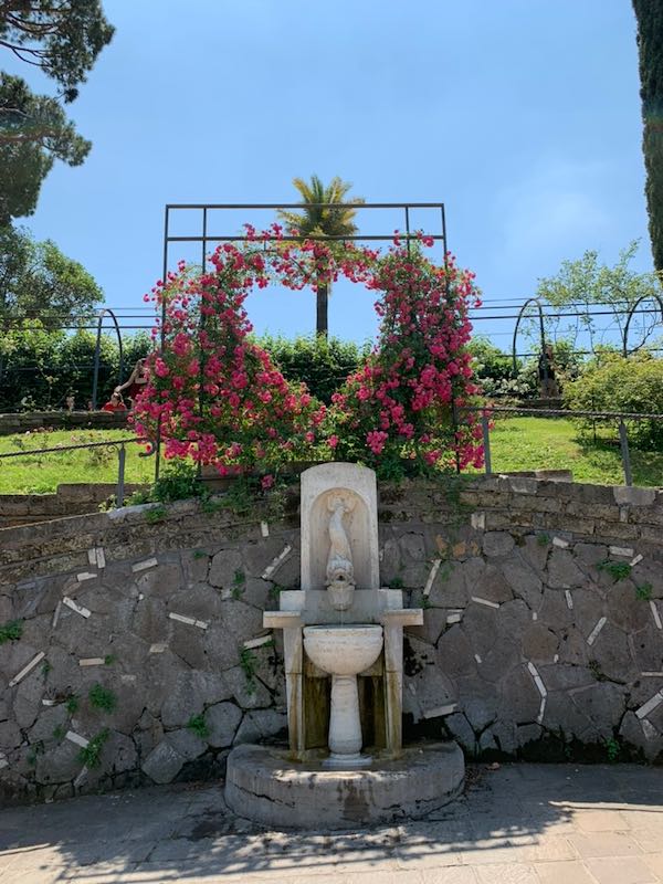 Heart of roses in rose garden