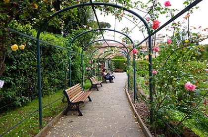 roseto rose garden in april - quiet