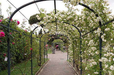 rome events in april - roseto rose garden