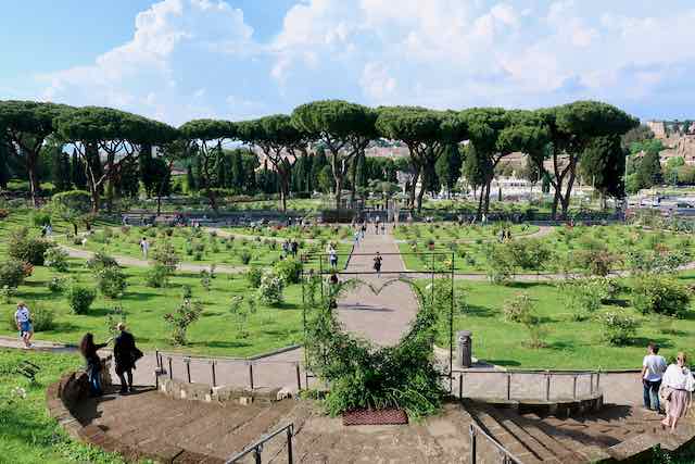 roseto rose garden from above roseto rose garden from above