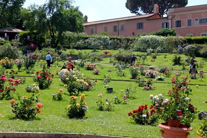 roseto rose garden in rome in may