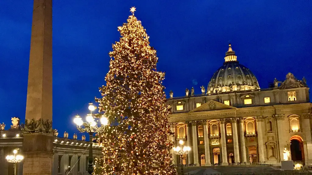 st peters basilica christmas tree night