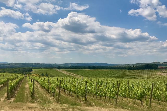 tuscan vineyard