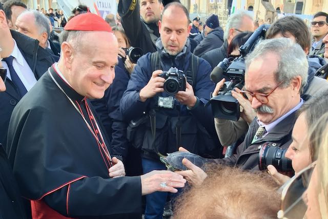 vatican animal blessing