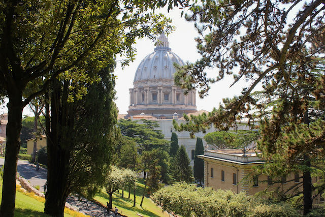 view of st. peter's dome from the garden walkway