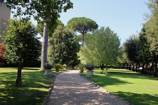walkway among the trees in vatican garden