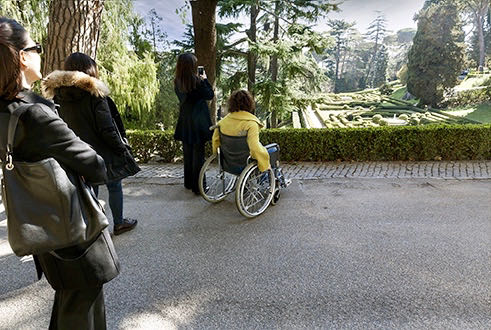 visiting the gardens at the vatican in a wheelchair