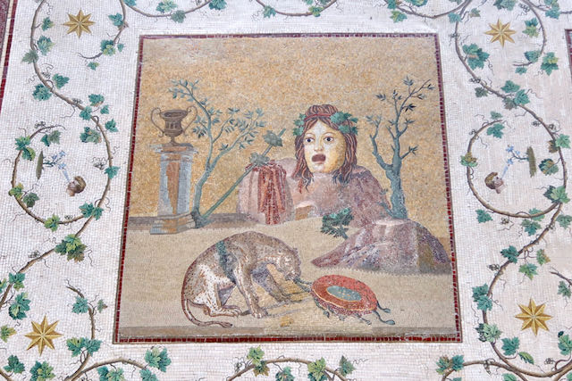 closeup of one of the floor mosaics in the cabinet of the masks cabinet of the masks mosaic closeup