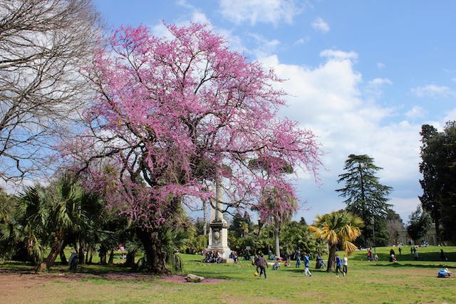 villa torlonia in the spring