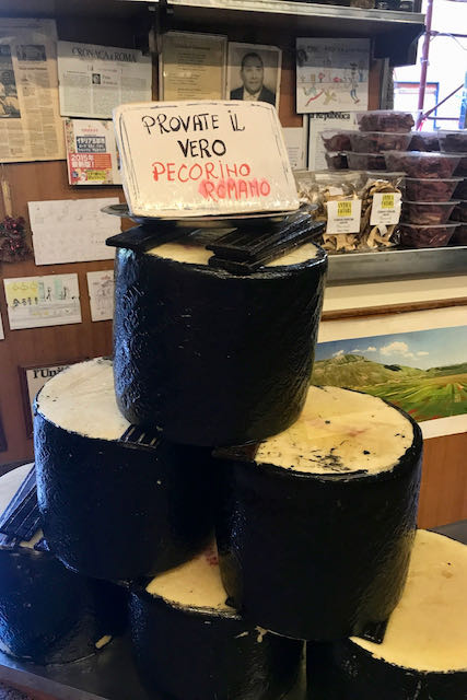 Pecorino cheese